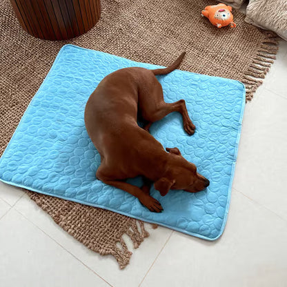 🌞🐈Summer Hot Sale 49% OFF🧊Premium Cooling Mat For Pet🐕