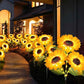 🌻Limited-time Special Price:£ 11.99!!🌞Solar Powered LED Sunflower Garden Lights – Waterproof Auto-On/Off Decorative Outdoor Yard Pathway Lamp