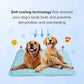 🌞🐈Summer Hot Sale 49% OFF🧊Premium Cooling Mat For Pet🐕