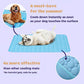 🌞🐈Summer Hot Sale 49% OFF🧊Premium Cooling Mat For Pet🐕