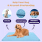 🌞🐈Summer Hot Sale 49% OFF🧊Premium Cooling Mat For Pet🐕