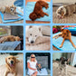 🌞🐈Summer Hot Sale 49% OFF🧊Premium Cooling Mat For Pet🐕