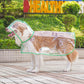 🐶Surprise Price: Only £8.99!!!💦Transparent Raincoat For Dog🐕‍🦺