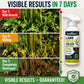 🏆Surprise Price: Only £7.99!!!⚡ [Easy and stress-free weeding in the garden] Herbicide for domestic use