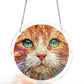 🧩🎁LAST DAY SALE £9.99!!🔥50K+ SOLD!🪟🕊️Acrylic Jigsaw Puzzle Suncatcher 80 Pieces