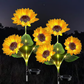 🌻Limited-time Special Price:£ 11.99!!🌞Solar Powered LED Sunflower Garden Lights – Waterproof Auto-On/Off Decorative Outdoor Yard Pathway Lamp