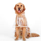 🐶Surprise Price: Only £8.99!!!💦Transparent Raincoat For Dog🐕‍🦺