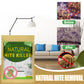 💗Last Day Special Price:£7.99!!🔥Natural Mite Control Sachet
