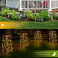 🎁Limited-time Special Price:£ 10.99 !!!💥Solar Garden Lights Outdoor Decor – 100 LEDs, IP55 Waterproof, Easy Install 🌙