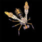 🎄Christmas Pre Sale 50% Off🐝3D Metal Bee Puzzle Assembly Model Kit🧩