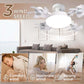 🥳SUMMER HOT SALE🥳💞50K+ SOLD!💥50% OFF! Remote-Controlled LED Ceiling Fan Light