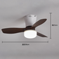 🥳SUMMER HOT SALE🥳💞50K+ SOLD!💥50% OFF! Remote-Controlled LED Ceiling Fan Light