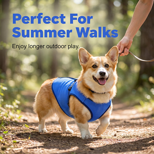 🏆Surprise Price: Only £8.99!!!❄️Cooling Dog Vest|Upgraded cooling vest, made of three-layer composite fabric, instantly cools when wet, reusable, keeps your dog cool all summer🐶🐱