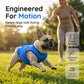 🏆Surprise Price: Only £8.99!!!❄️Cooling Dog Vest|Upgraded cooling vest, made of three-layer composite fabric, instantly cools when wet, reusable, keeps your dog cool all summer🐶🐱