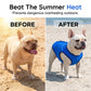 🏆Surprise Price: Only £8.99!!!❄️Cooling Dog Vest|Upgraded cooling vest, made of three-layer composite fabric, instantly cools when wet, reusable, keeps your dog cool all summer🐶🐱