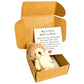 🏆Surprise Price: Only £7.99!!!🧸Mini Plush Pocket Teddy Bear with Greeting Card & Gift Box🎁