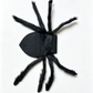 🎃HALLOWEEN SALE ONLY￡7.99!! 🦇Halloween Pet Spider Costume Scary Plush Dog Cat Transformation Outfit🐱🐶