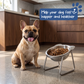 🏆 Last Day Special Price £8.99! 🥣15° Tilted Orthopaedic Feeding Bowl